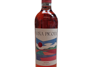 Viña Picota